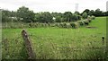 N5581 : Field near Oldcastle by Richard Webb