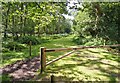 East Entrance to Little Wootton Inclosure