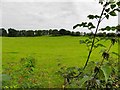 Tamlaght Townland