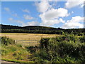 Farmland at Mochrum Hill