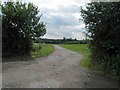 Farm track near Laxton