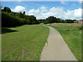 Path from the pond to the park and the wood Tile Hurst