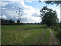 Footpath to Kirk Sandall