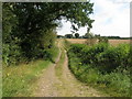 Footpath towards Honesty Farm