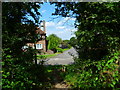 Bridleway reaches The Coombes in Bramley