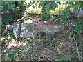 Fallen gatepost with benchmark