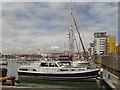 TQ6401 : Sovereign Harbour Marina by David Dixon