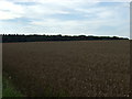 Farmland towards Ropsley Rise Wood