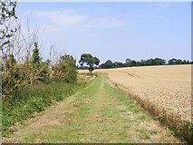 TM3674 : Permissive Path to the B1117 Halesworth Road by Geographer