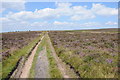 SO2304 : Moorland track to Twyn Du by Philip Halling