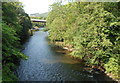 River Taff between two bridges, Abercynon