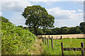 The footpath to Foxhole Wood