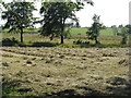 Hayfield and pasture near Netherton