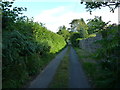 A narrow lane beside Cherry Orchard Farm