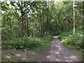 On Ware Cliffs, a junction of footpaths