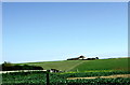 Looking towards Crapham Hill, East Dean, East Sussex