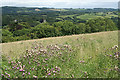 North Bovey: towards the village