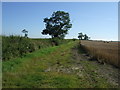 SK8420 : Farm track near Garthorpe by JThomas