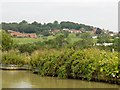 Napton On the Hill