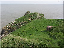 ST2265 : Top of Castle Rock, Flat Holm by Gareth James