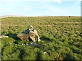 SD7967 : Erratic boulder on Feizor Thwaite by Humphrey Bolton