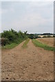 SK9126 : Farm track off Crabtree Road by J.Hannan-Briggs
