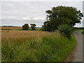 Field Corner Near Lambden