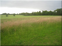 SU5549 : Farmland west of Oakley Park by Mr Ignavy