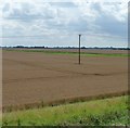 TF2514 : Pole in a drain-edged wheatfield by Christine Johnstone