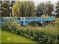 SJ9822 : Shugborough Park, Bridge over the River Sow by David Dixon
