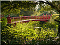 SJ9922 : The Red Bridge at Shugborough Park by David Dixon