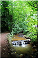 Limb Brook, Ryecroft Glen