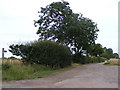 Footpath to Fenn Farm & Church Road &  entrance to Theberton Hall Farm