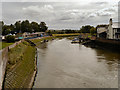TQ0107 : River Arun by David Dixon