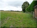 Sheep pasture alongside the former railway line