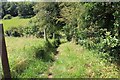 Path down to Chedworth stream