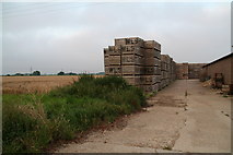 TF3319 : Cranesgate, Grange Farm: crated against the wind by Chris
