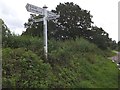 Signpost and tree at Stockland Head Cross