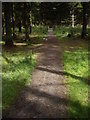 Footbridge in Bell Wood