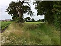 Path from Church Lane to Bramfield Road