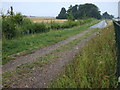 Track beside the A1198 Papworth Everard Bypass