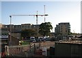 Cranes at CB1 from Hills Road bridge