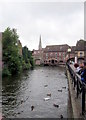 Bridge To Market Walk, Salisbury