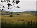 Fields at Drumcoltran