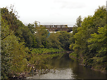 SD7807 : Radcliffe Viaduct, River Irwell by David Dixon