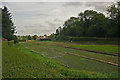 Watercress beds, Whitwell