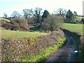 Branscombe Lane