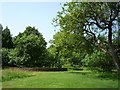 Trees in garden of Woolsthorpe Manor