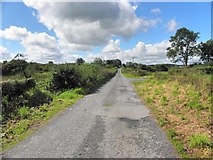H6827 : Road at Lisnalee by Kenneth  Allen