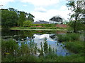 Fishpond at Rodbaston